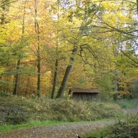 Landgasthaus Zum Engel Gæstehus Freiamt