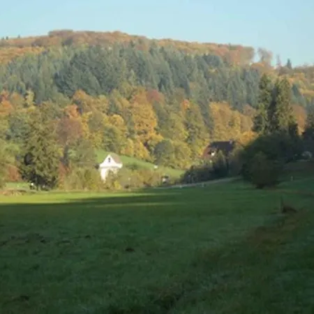Landgasthaus Zum Engel * Freiamt